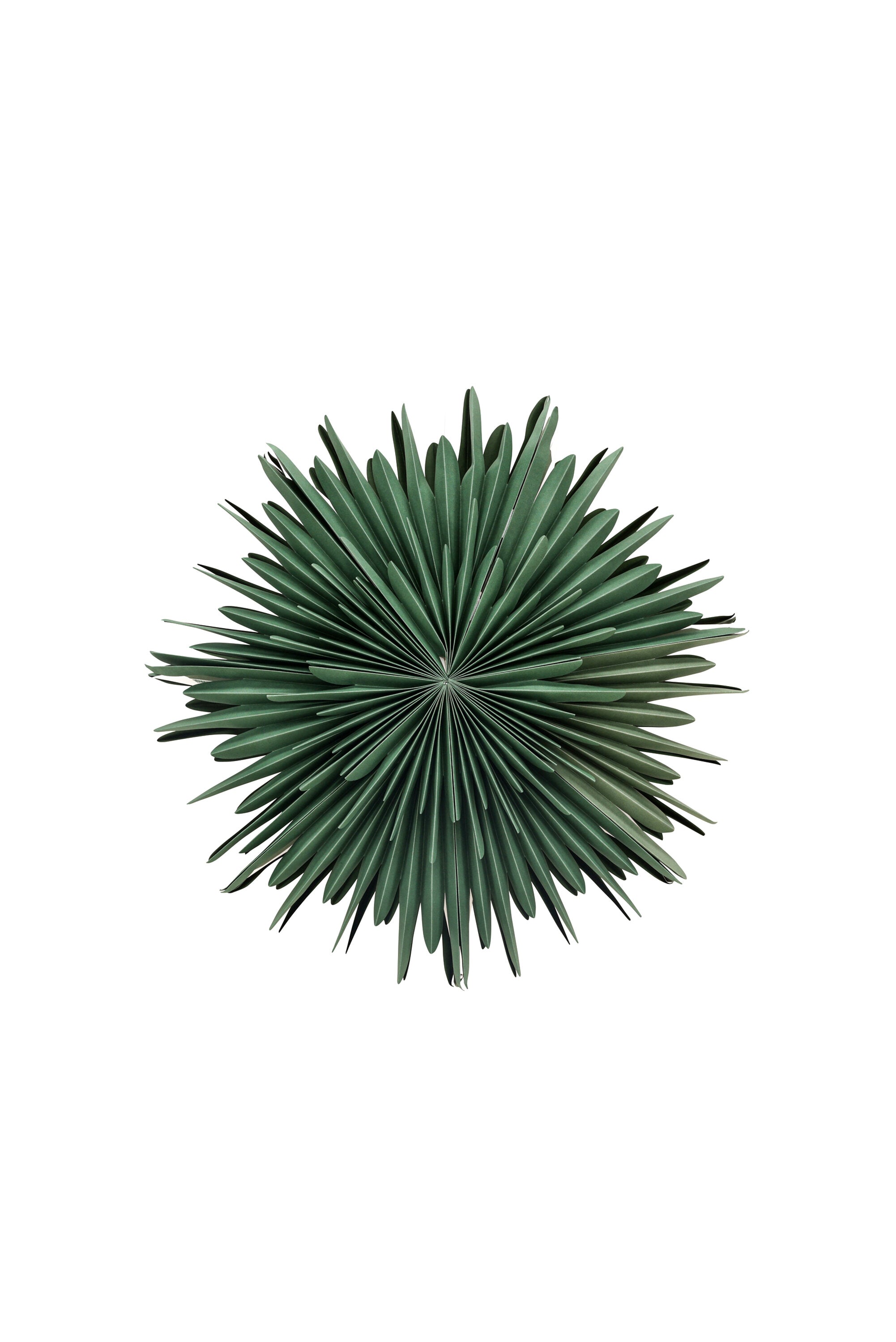 Siegel Pendelleuchte in Grün präsentiert im Onlineshop von KAQTU Design AG. Weihnachtszubehör ist von Venture Home