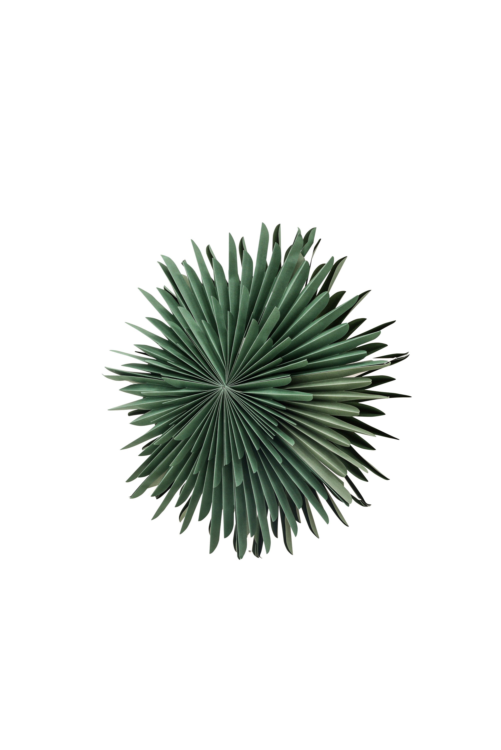 Siegel Pendelleuchte in Grün präsentiert im Onlineshop von KAQTU Design AG. Weihnachtszubehör ist von Venture Home