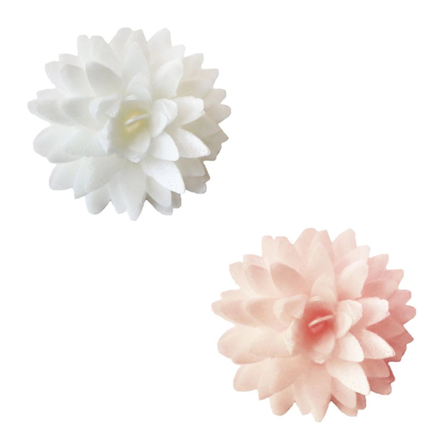 Lot de 5 dahlias en papier comestible blanc et rose