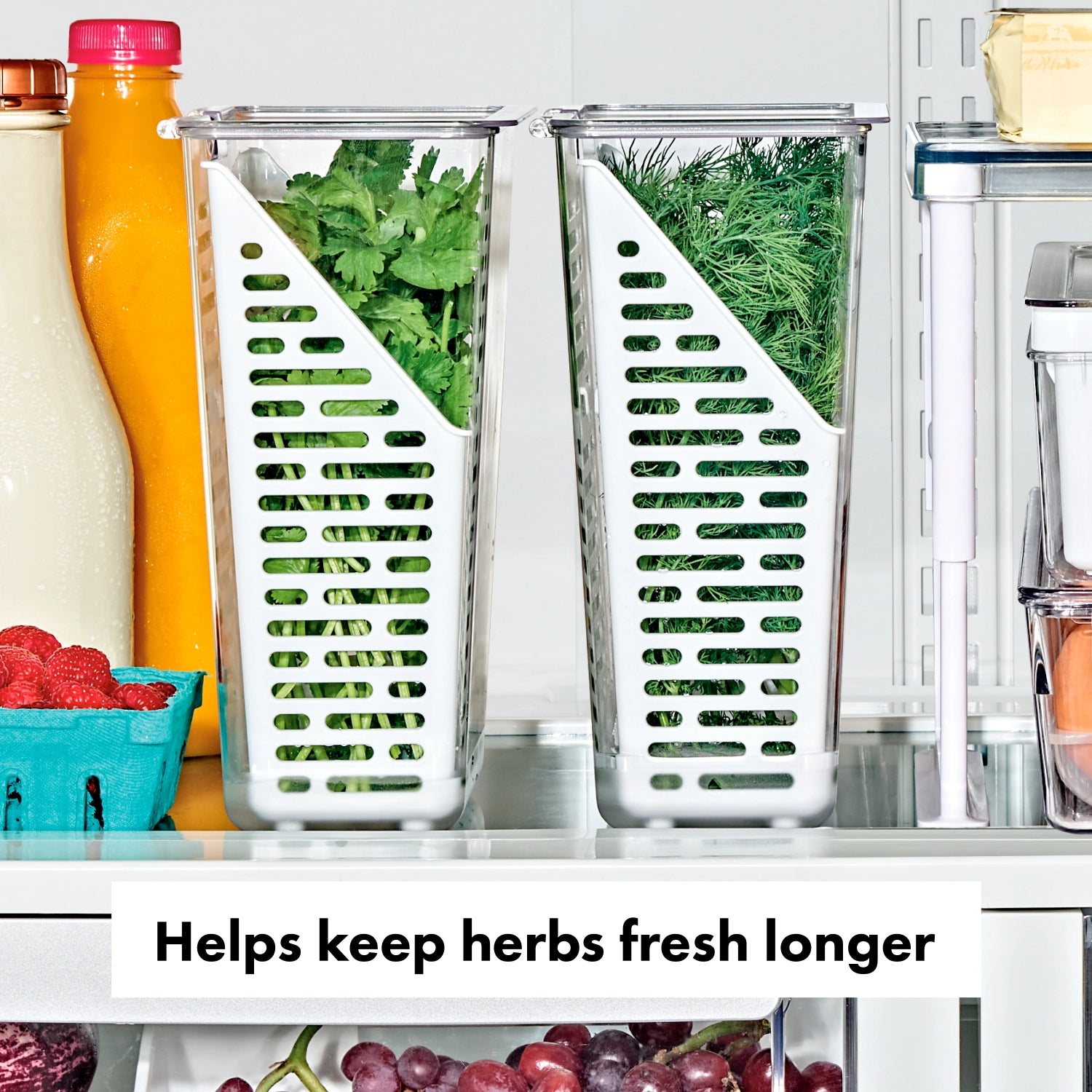 OXO Good Grips Produce Saver Frischhaltebox für Kräuter, 15.24x11.4x28.7cm, ideal zur Aufbewahrung von frischen Kräutern, mit innovativem Belüftungssystem.