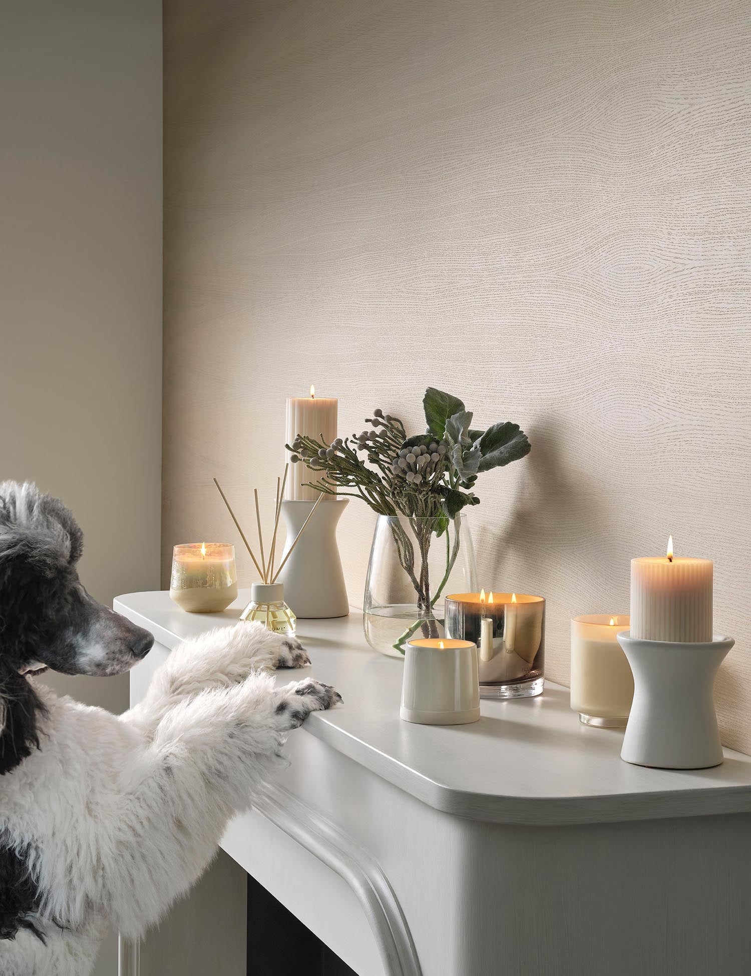 Winter White Scent Diffuser, Weiss, in Weiß präsentiert im Onlineshop von KAQTU Design AG. Duftöl ist von Illume