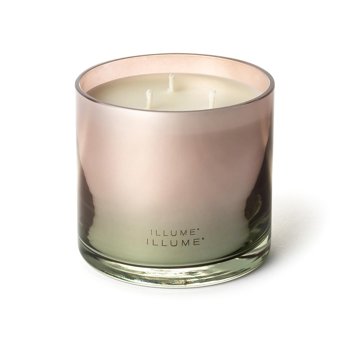 Coconut Milk Mango Statement Glas Kerze, Rose, in Rose präsentiert im Onlineshop von KAQTU Design AG. Duftkerze ist von Illume