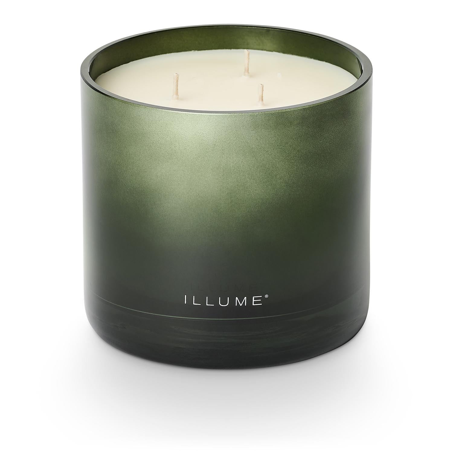Balsam & Cedar Statement Glas Kerze, Grün, in Grün präsentiert im Onlineshop von KAQTU Design AG. Duftkerze ist von Illume