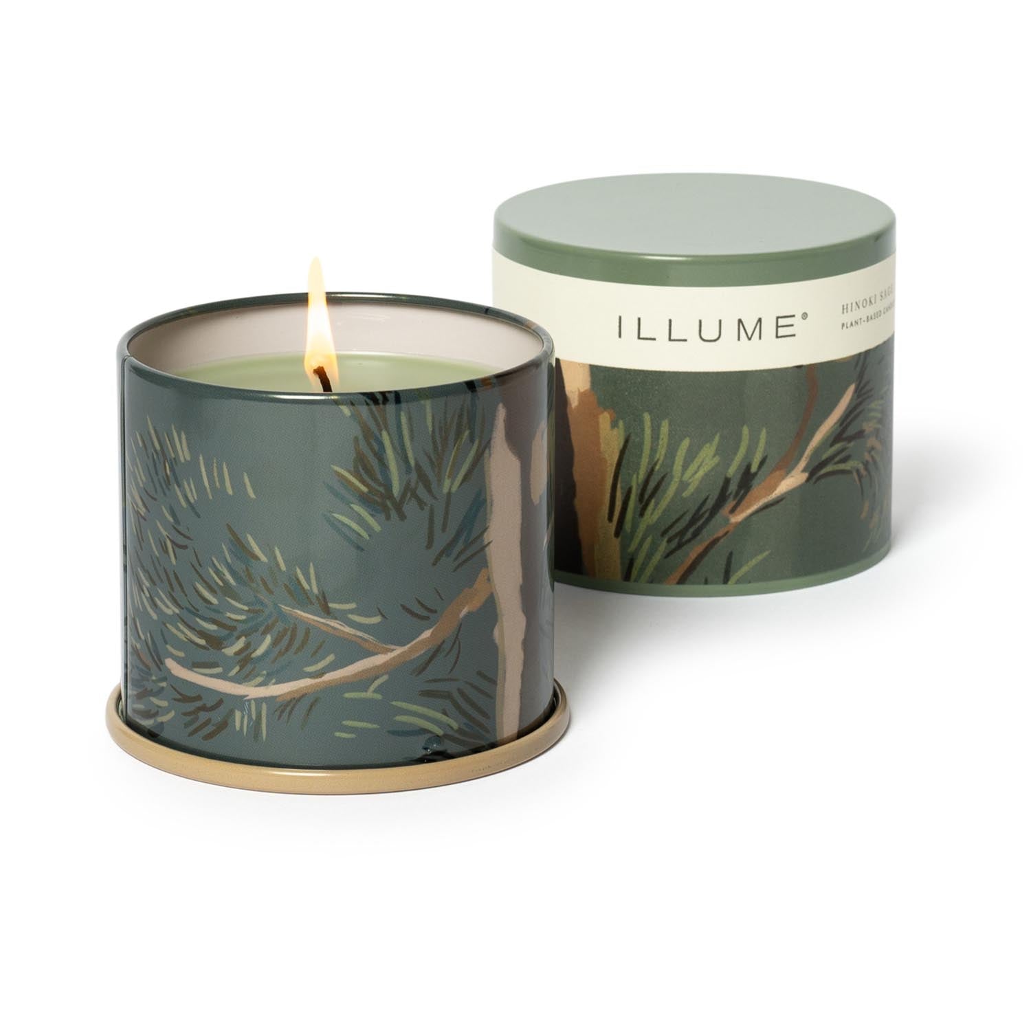 Hinoki Sage Vanity Tin Duftkerze, Grün, in Grün präsentiert im Onlineshop von KAQTU Design AG. Duftkerze ist von Illume