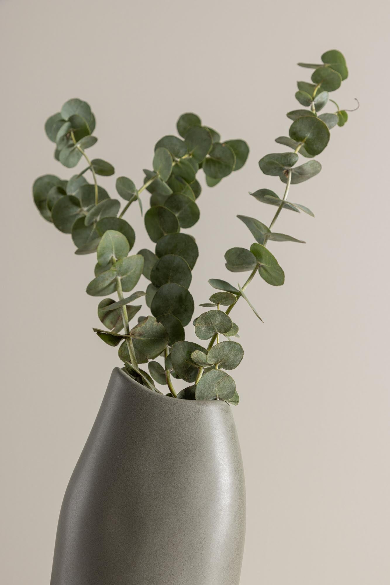 Ernst Vase in Schwarz-Weiss präsentiert im Onlineshop von KAQTU Design AG. Vase ist von Venture Home