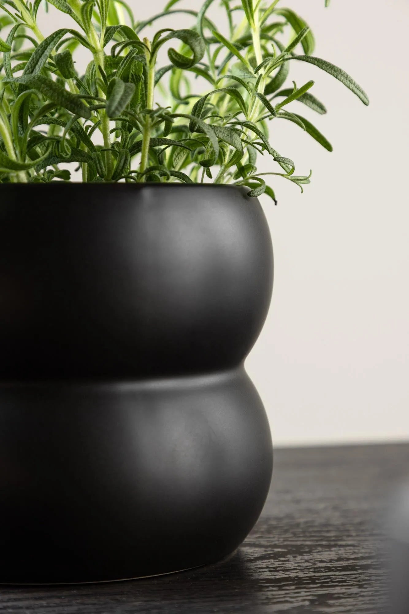 Elegante Dapne Vase von Venture Home: Zeitlose Schönheit für Ihr Zuhause.