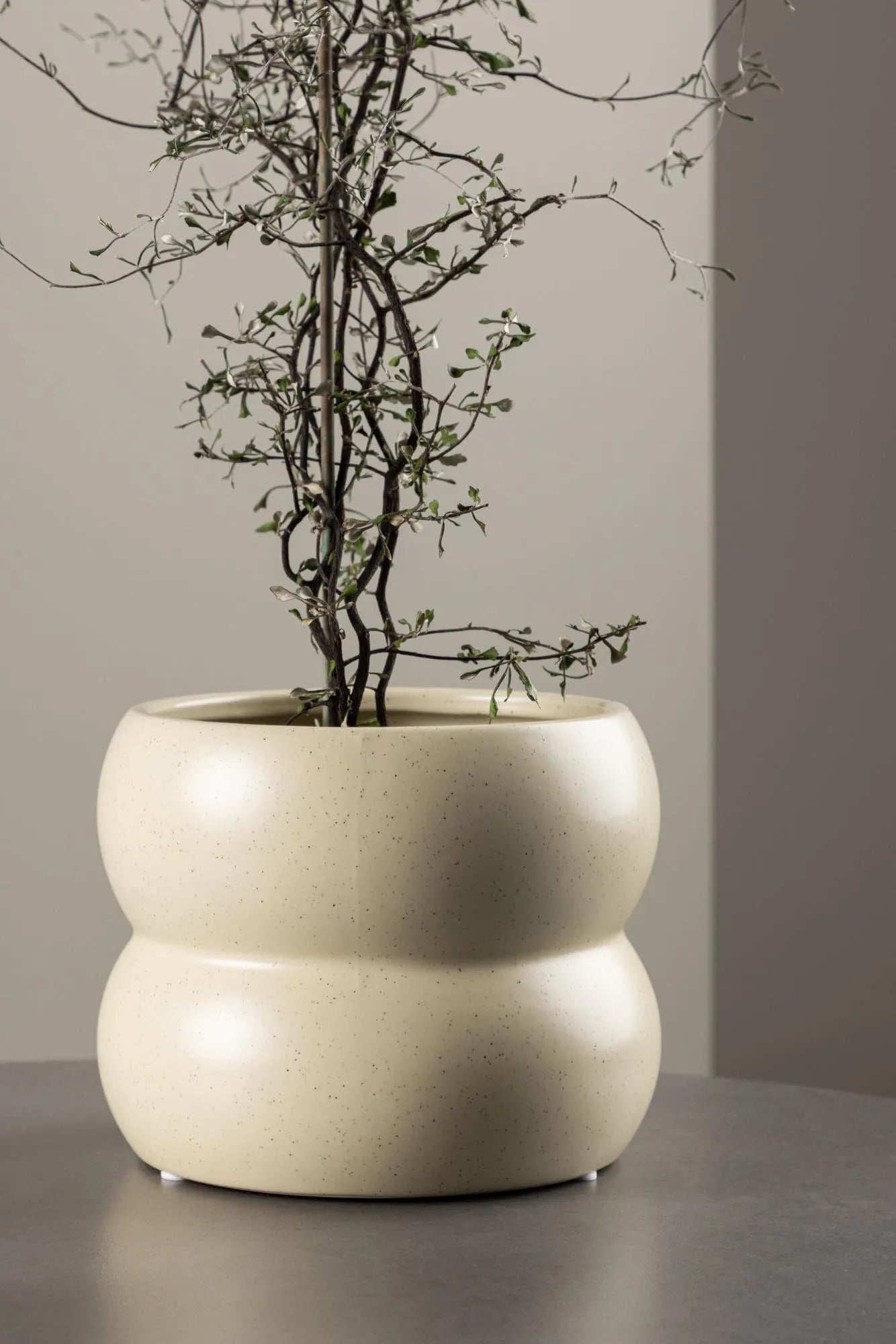 Dapne Vase von Venture Home: Modernes Design für stilvolle Räume.