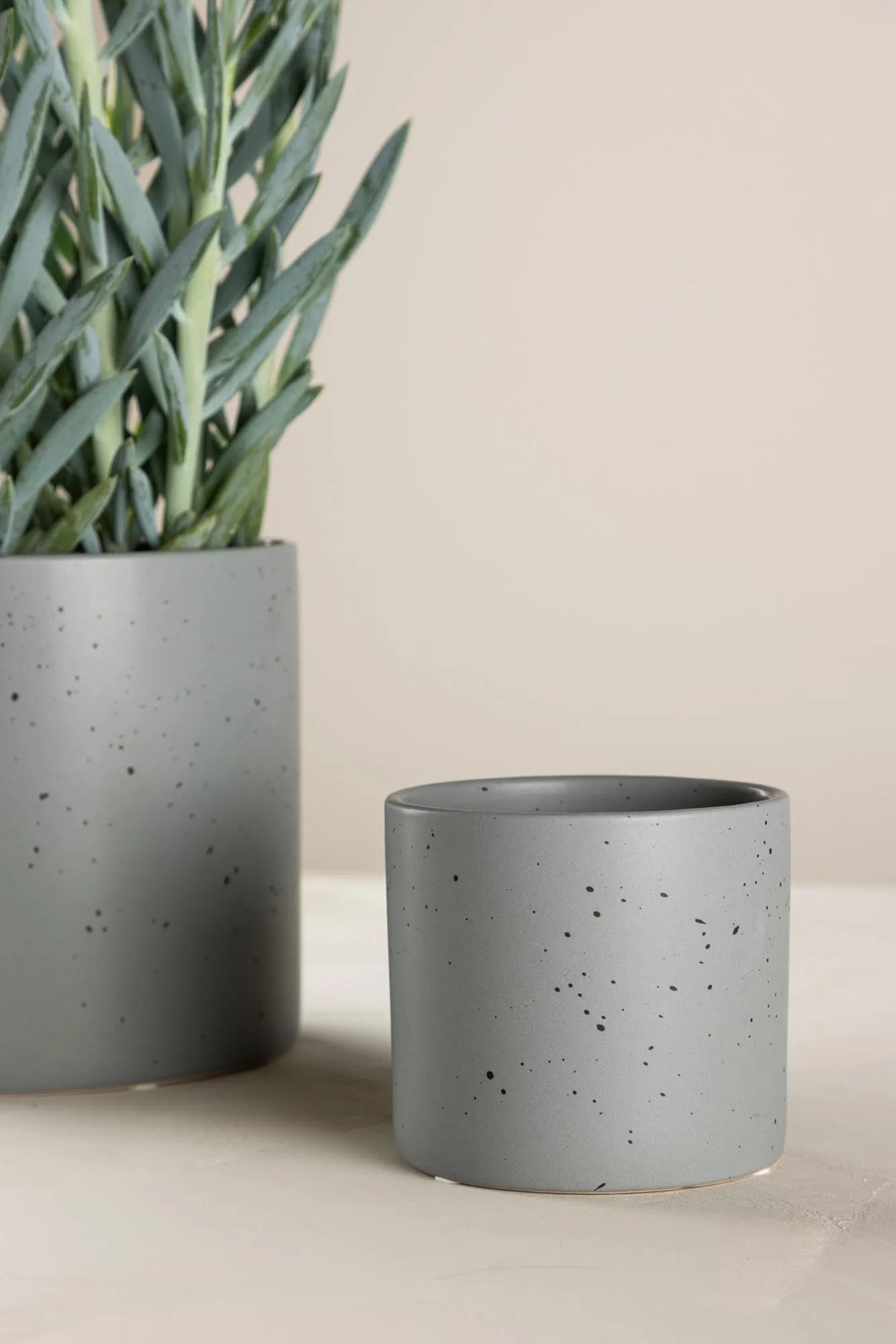 Sane Vase von Venture Home: Eleganz trifft auf modernes Design.