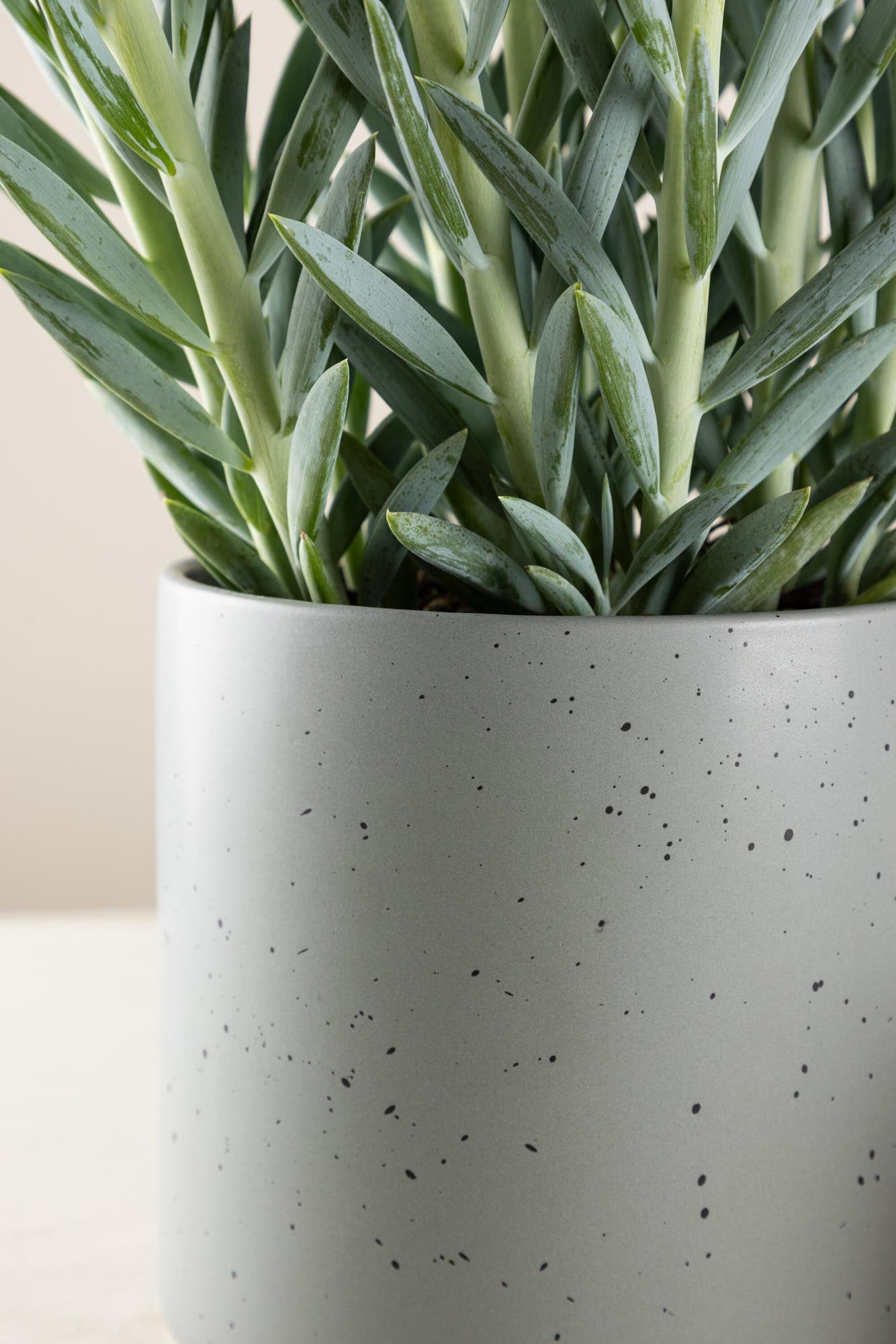 Sane Vase in Schwarz/ Dunkelgrau präsentiert im Onlineshop von KAQTU Design AG. Vase ist von Venture Home