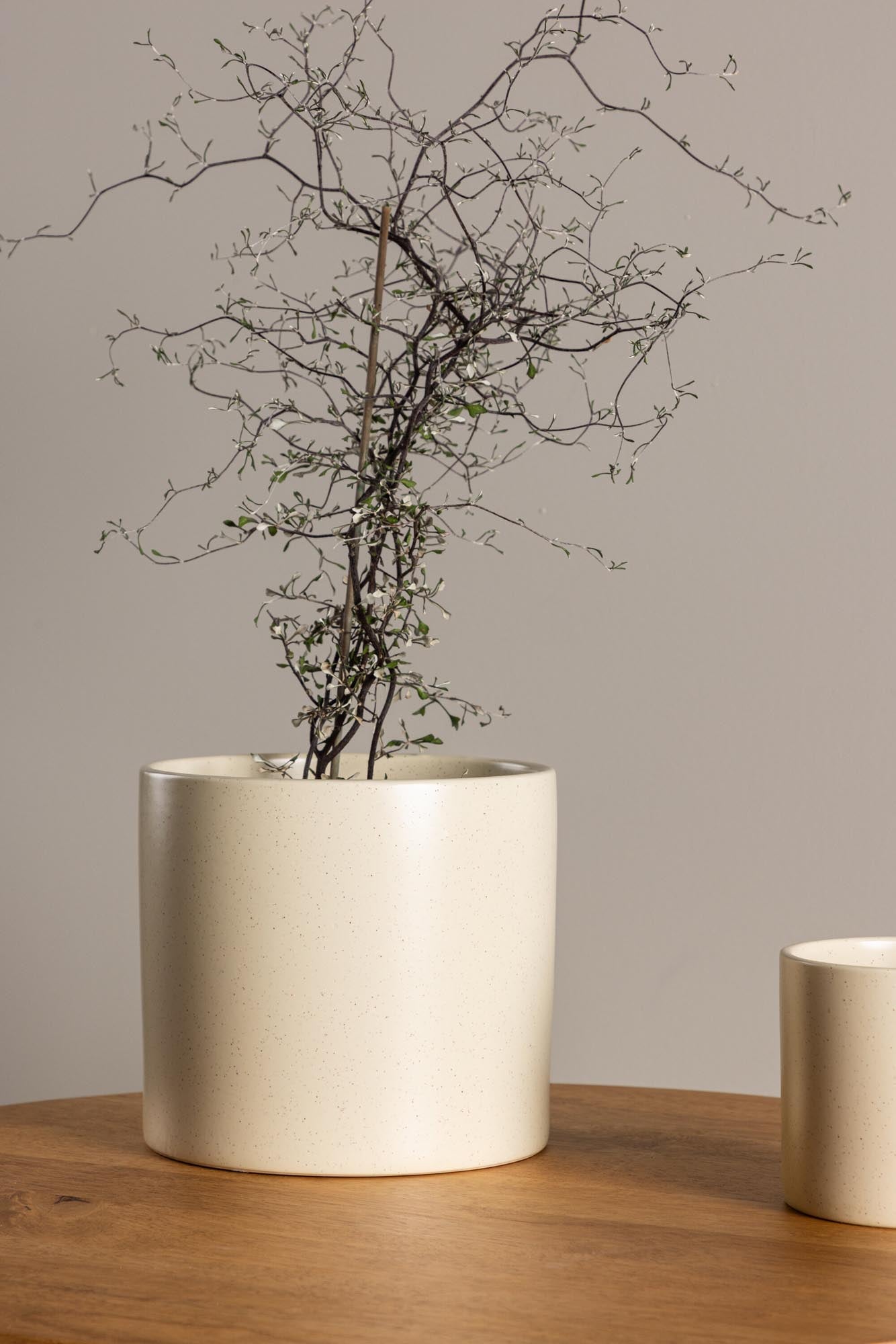 Sane Vase in Schwarz/ Dunkelgrau präsentiert im Onlineshop von KAQTU Design AG. Vase ist von Venture Home