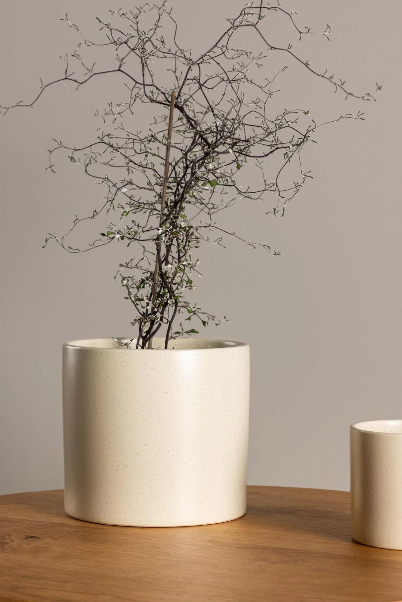 Sane Vase von Venture Home: Minimalistische Schönheit für Ihr Zuhause.