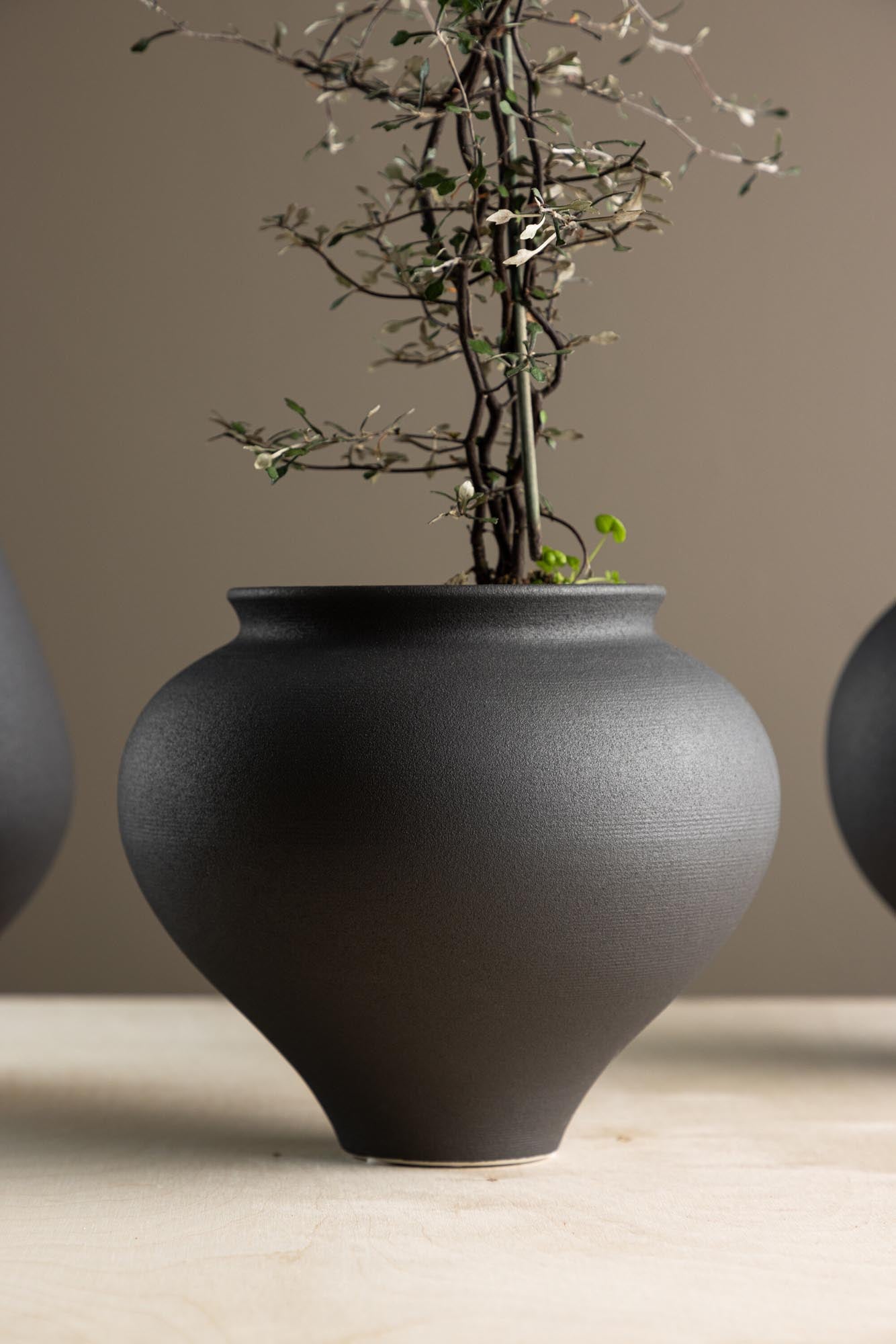 Rellis Vase in Schwarz präsentiert im Onlineshop von KAQTU Design AG. Vase ist von Venture Home