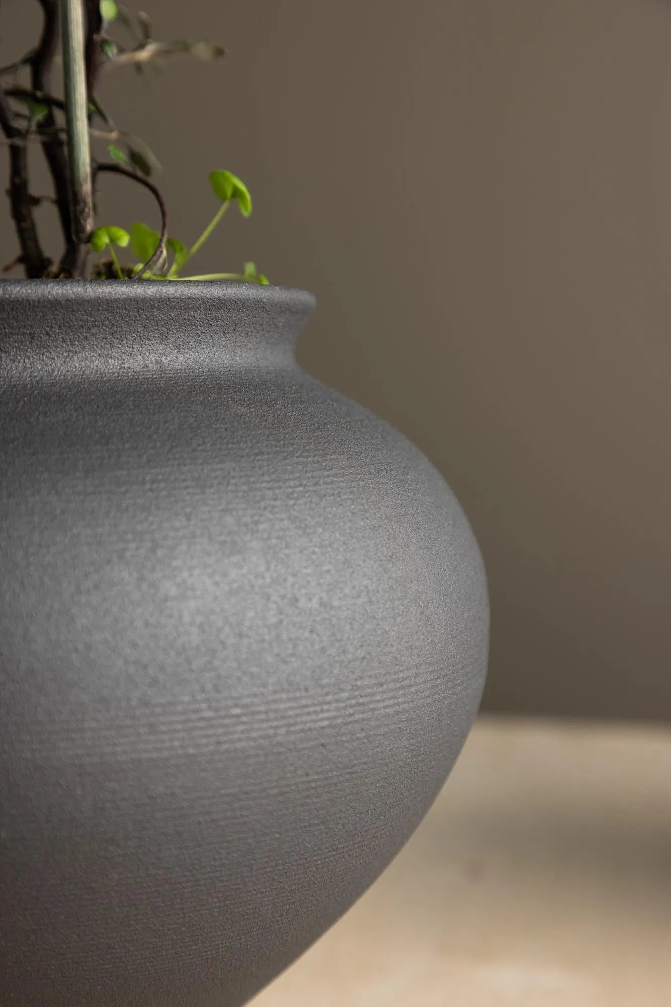 Rellis Vase: Elegante Form für moderne Wohnkultur von Venture Home.