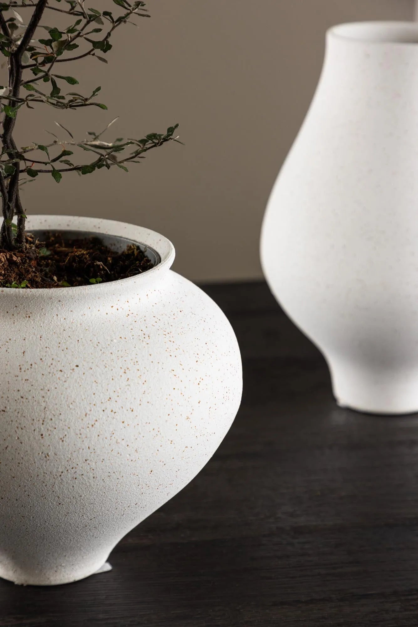 Rellis Vase: Elegante Form für moderne Wohnräume von Venture Home.