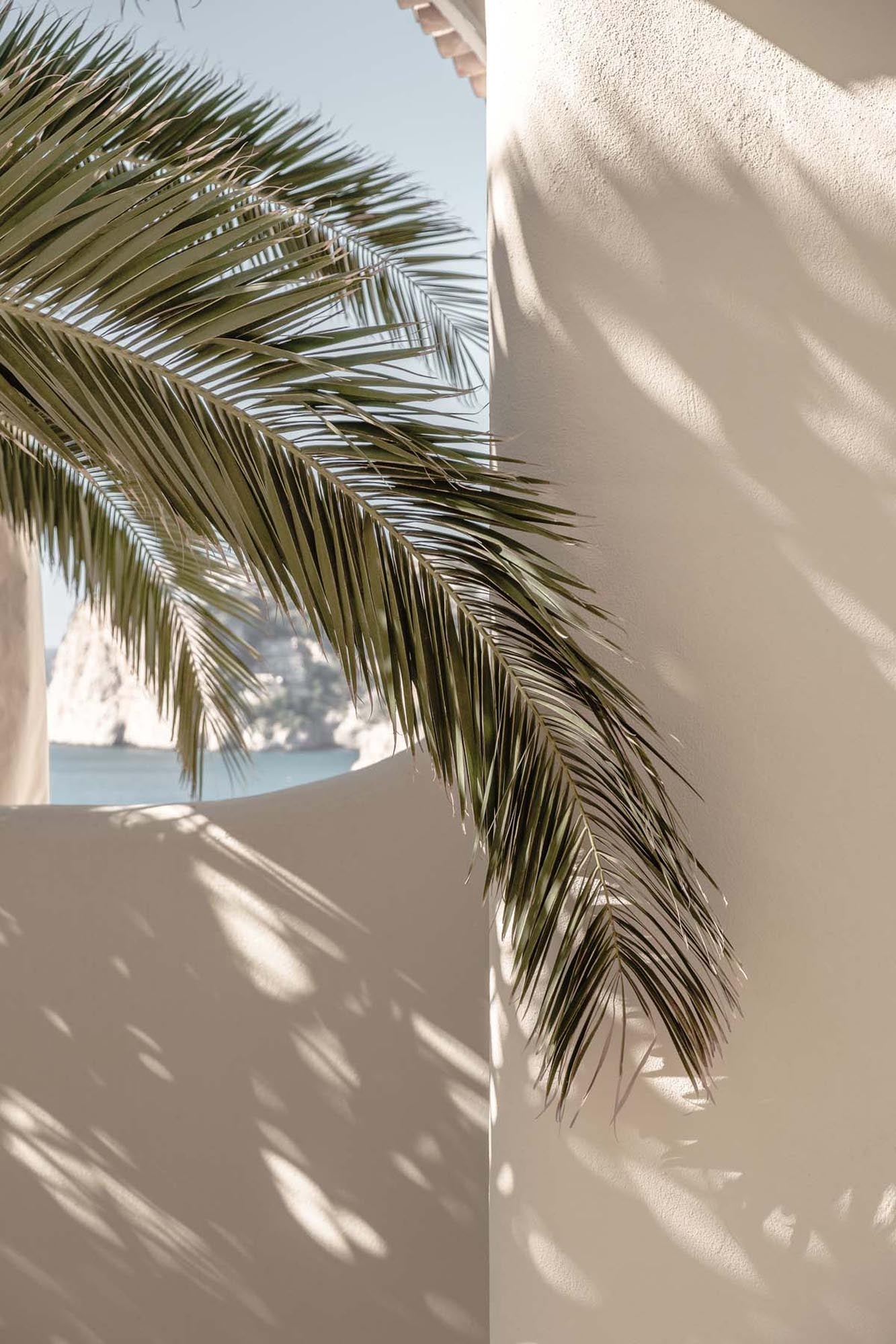 Palmleaf Poster in Beige präsentiert im Onlineshop von KAQTU Design AG. Bild ist von Venture Home