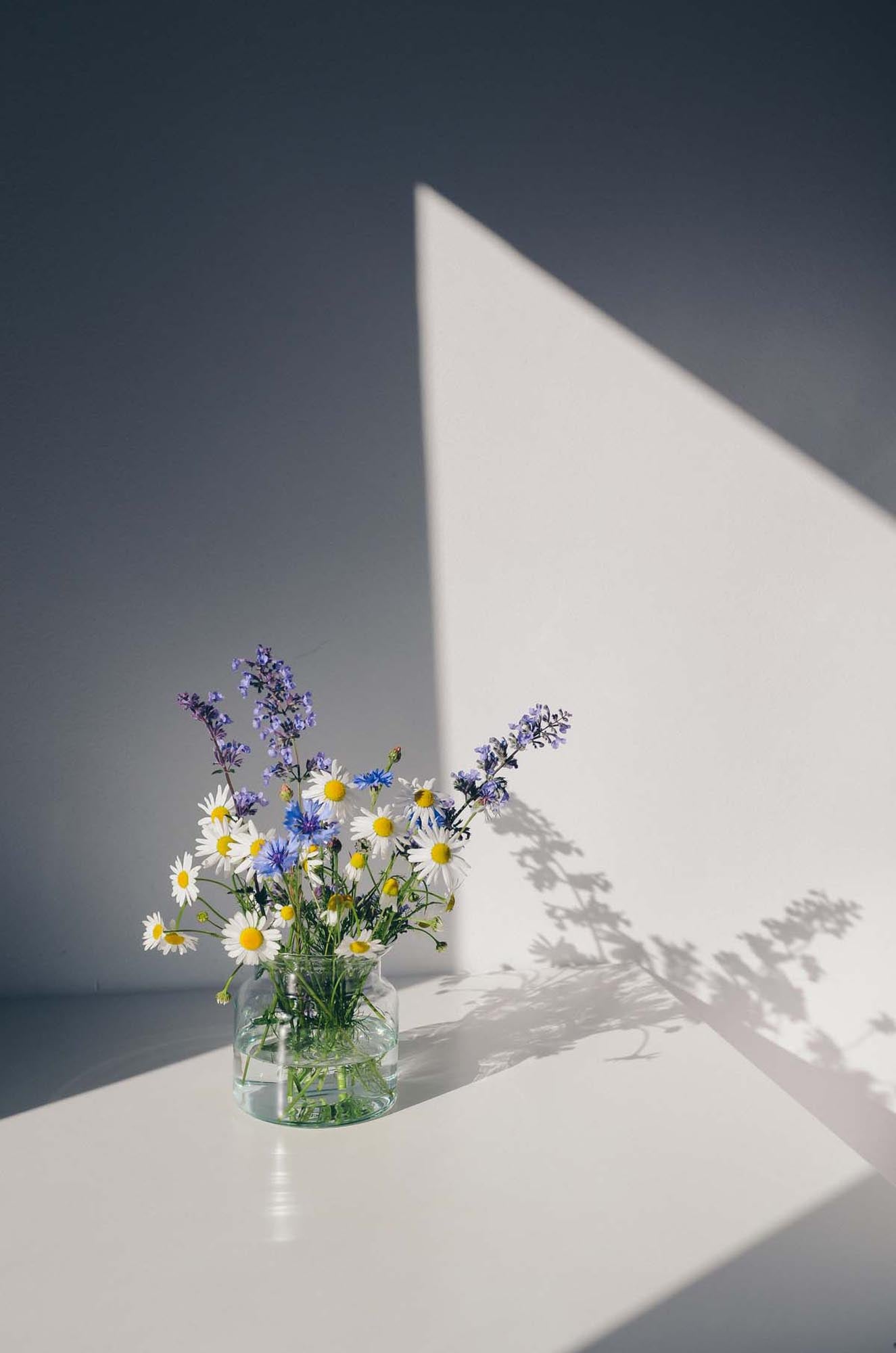 Blumen Poster in Weiss präsentiert im Onlineshop von KAQTU Design AG. Bild ist von Venture Home