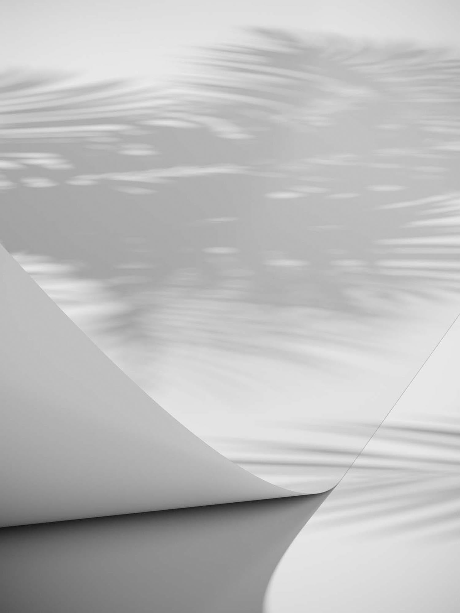 Papyrus Poster in Weiss präsentiert im Onlineshop von KAQTU Design AG. Bild ist von Venture Home