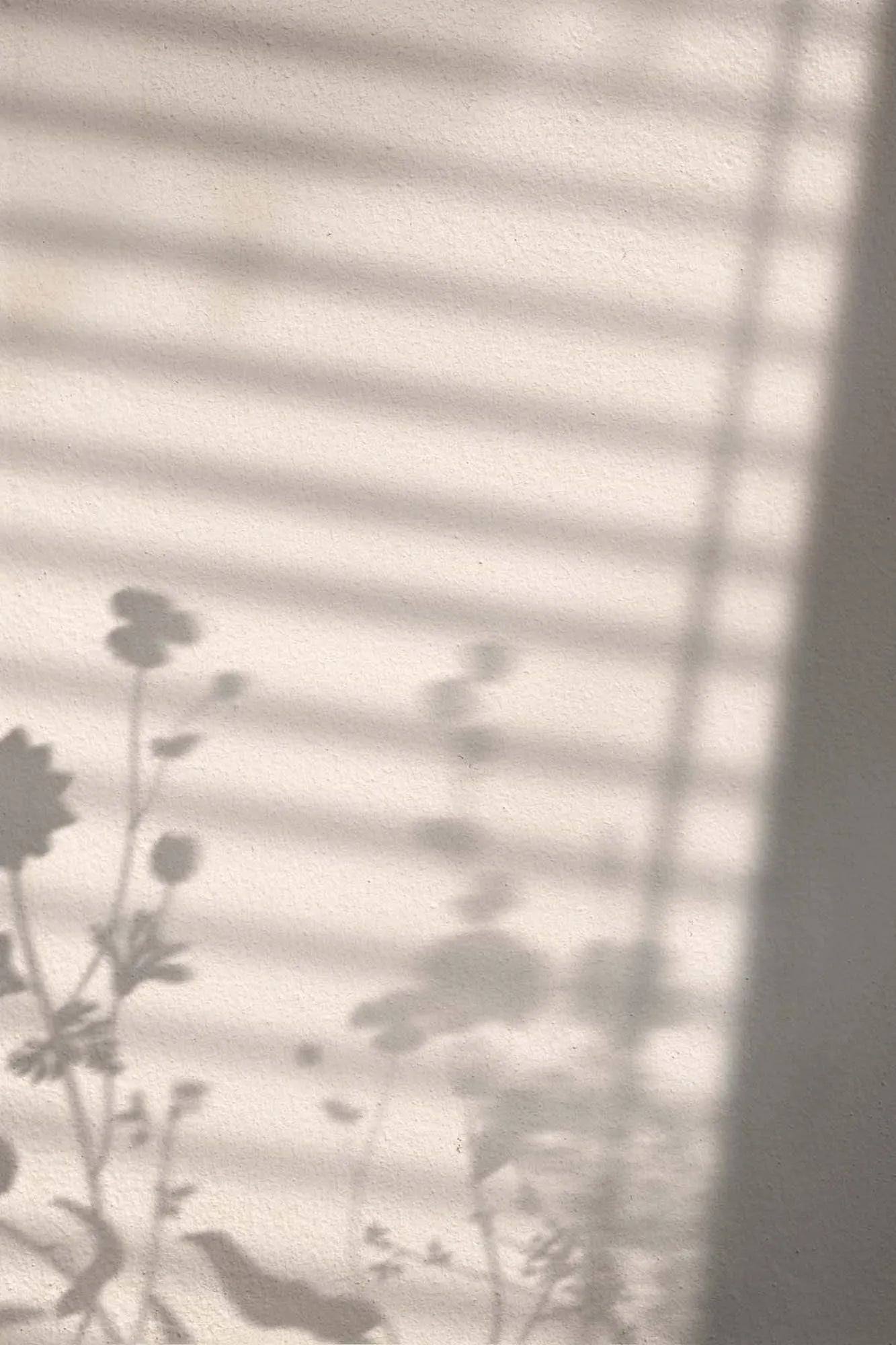 Ein stilvolles Poster mit floralen Schattenmotiven, ideal für moderne Wohnräume. Eleganz und Natur vereint.