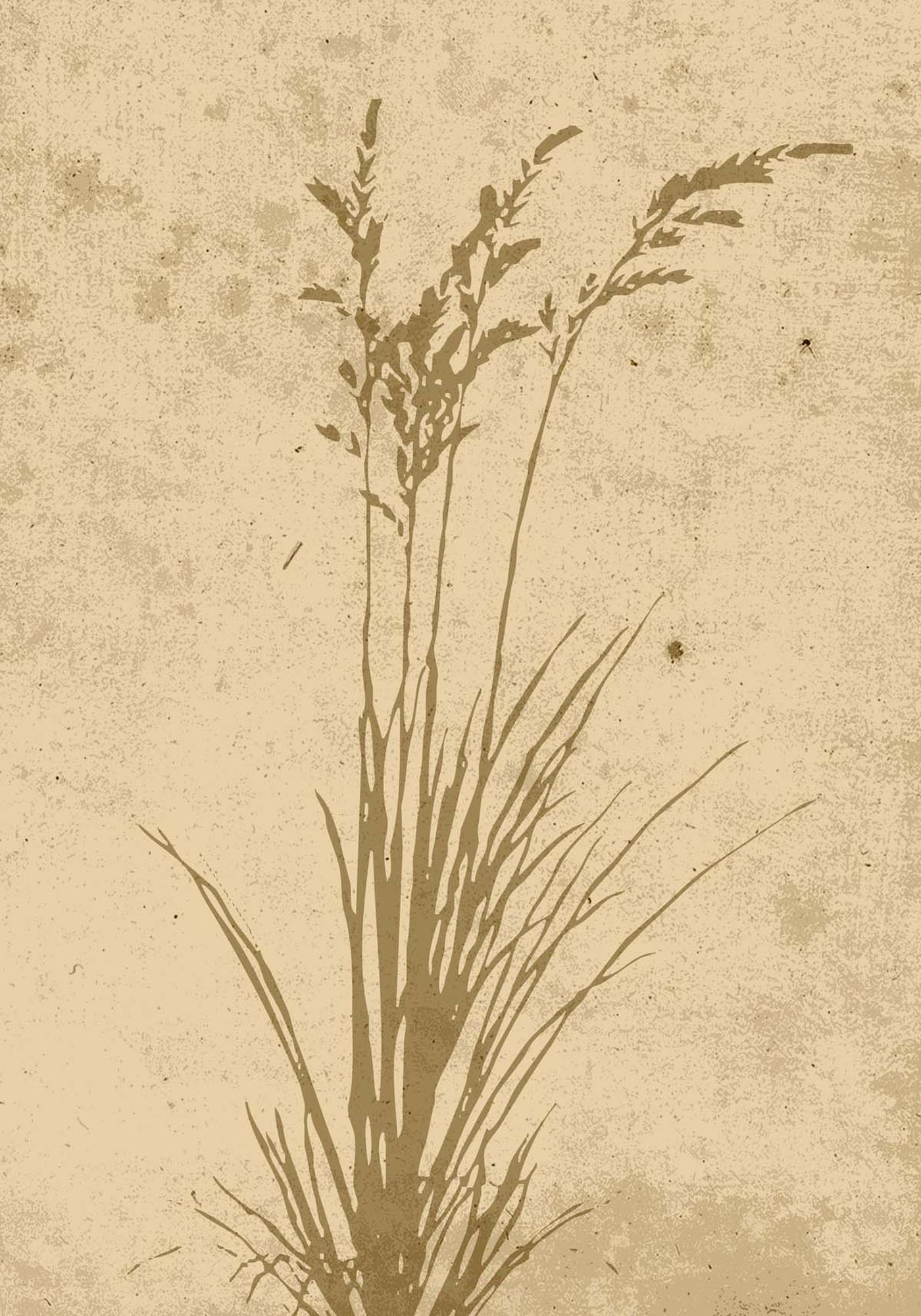 Plant Art Poster in Beige präsentiert im Onlineshop von KAQTU Design AG. Bild ist von Venture Home