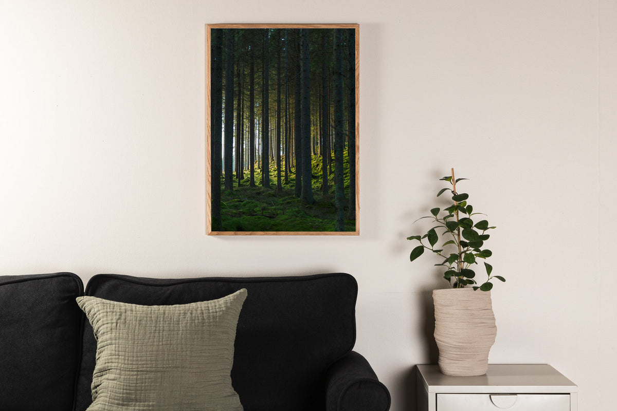 Woods Poster in Grün präsentiert im Onlineshop von KAQTU Design AG. Bild ist von Venture Home