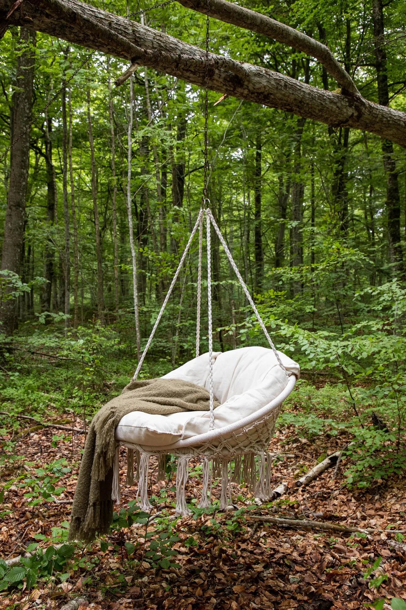 Die Hamtic Hollywoodschaukel von Venture Home bietet stilvollen Komfort und modernes Design für entspannte Gartenstunden.