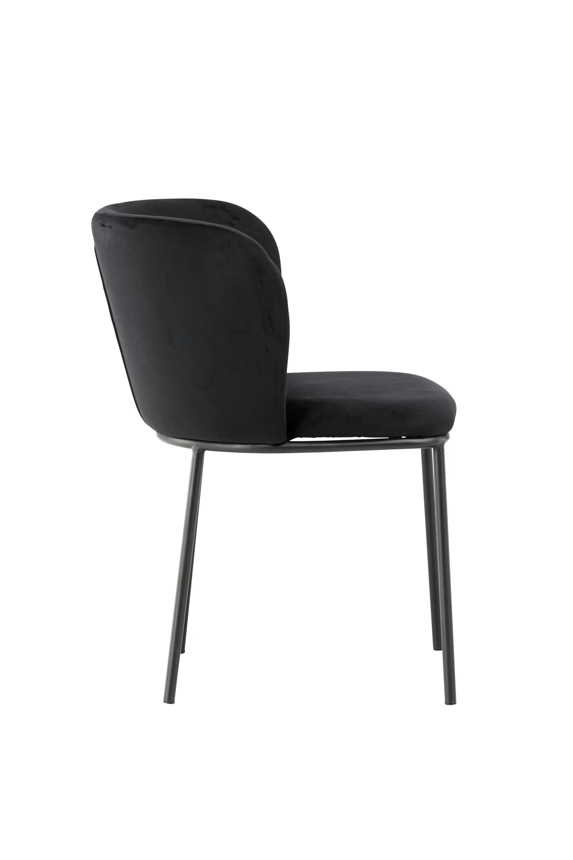 Edina Esszimmerstuhl von Venture Home: Elegantes Design, bequeme Polsterung, perfekt für moderne Esszimmer.