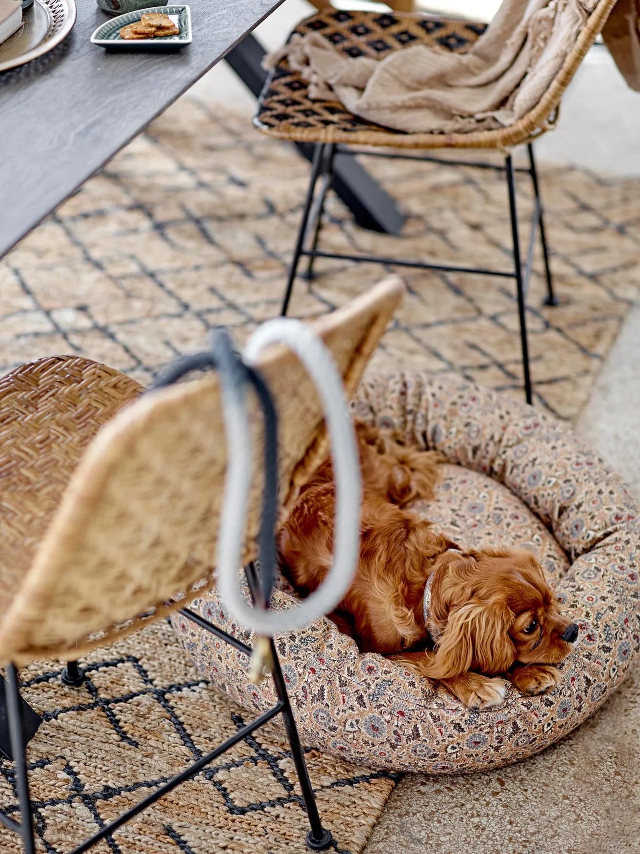 Vittoria Dog Cushion, Braun, Baumwolle, Hundebedarf, KAQTU Design