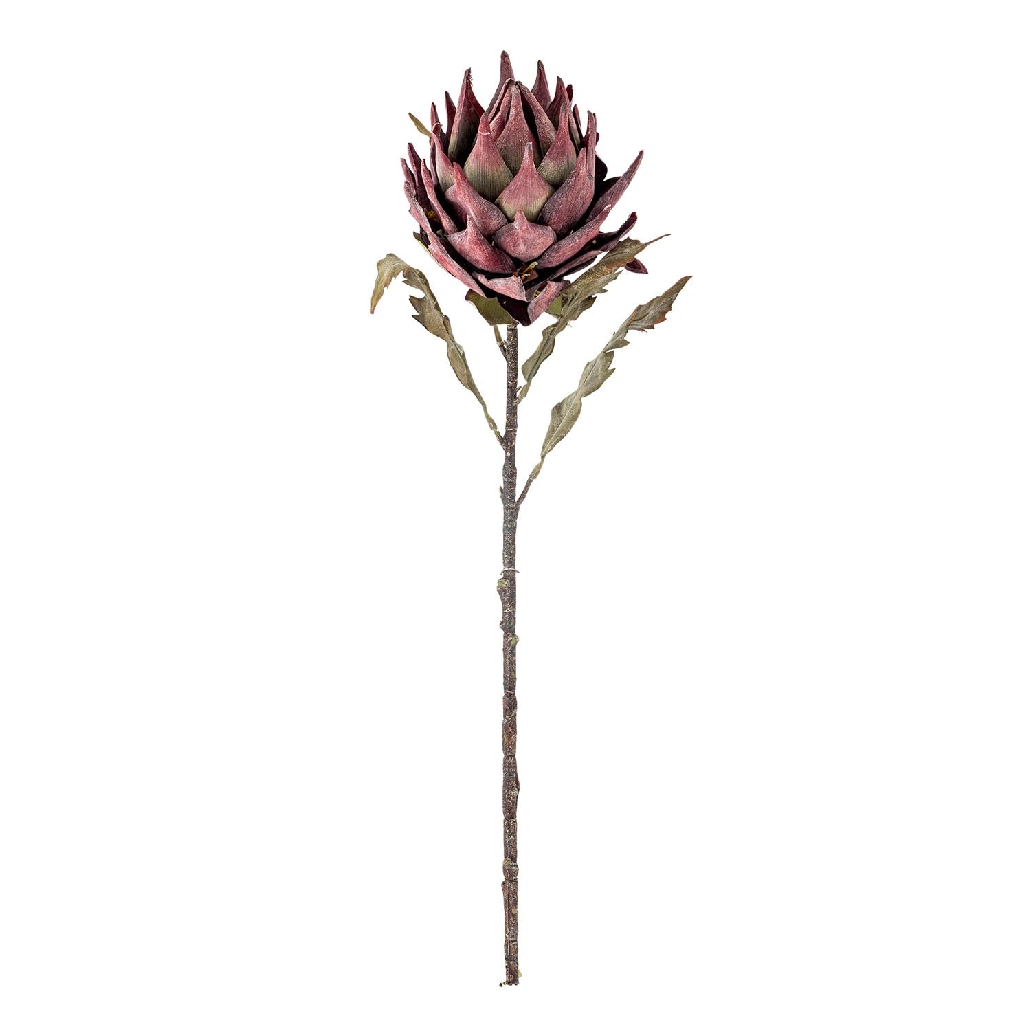 Künstlicher Protea-Stiel in Violett von Bloomingville, ideal für stilvolle Dekorationen und kreative Blumenarrangements.