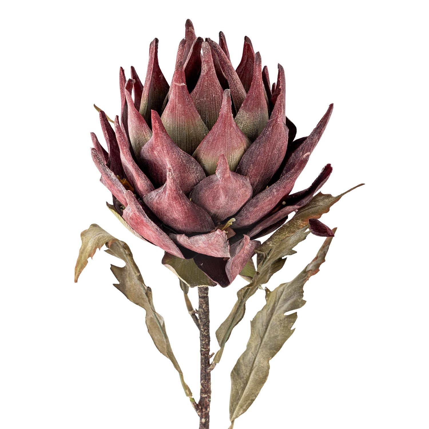 Künstlicher Protea-Stiel in Violett von Bloomingville, ideal für stilvolle Dekorationen und kreative Blumenarrangements.