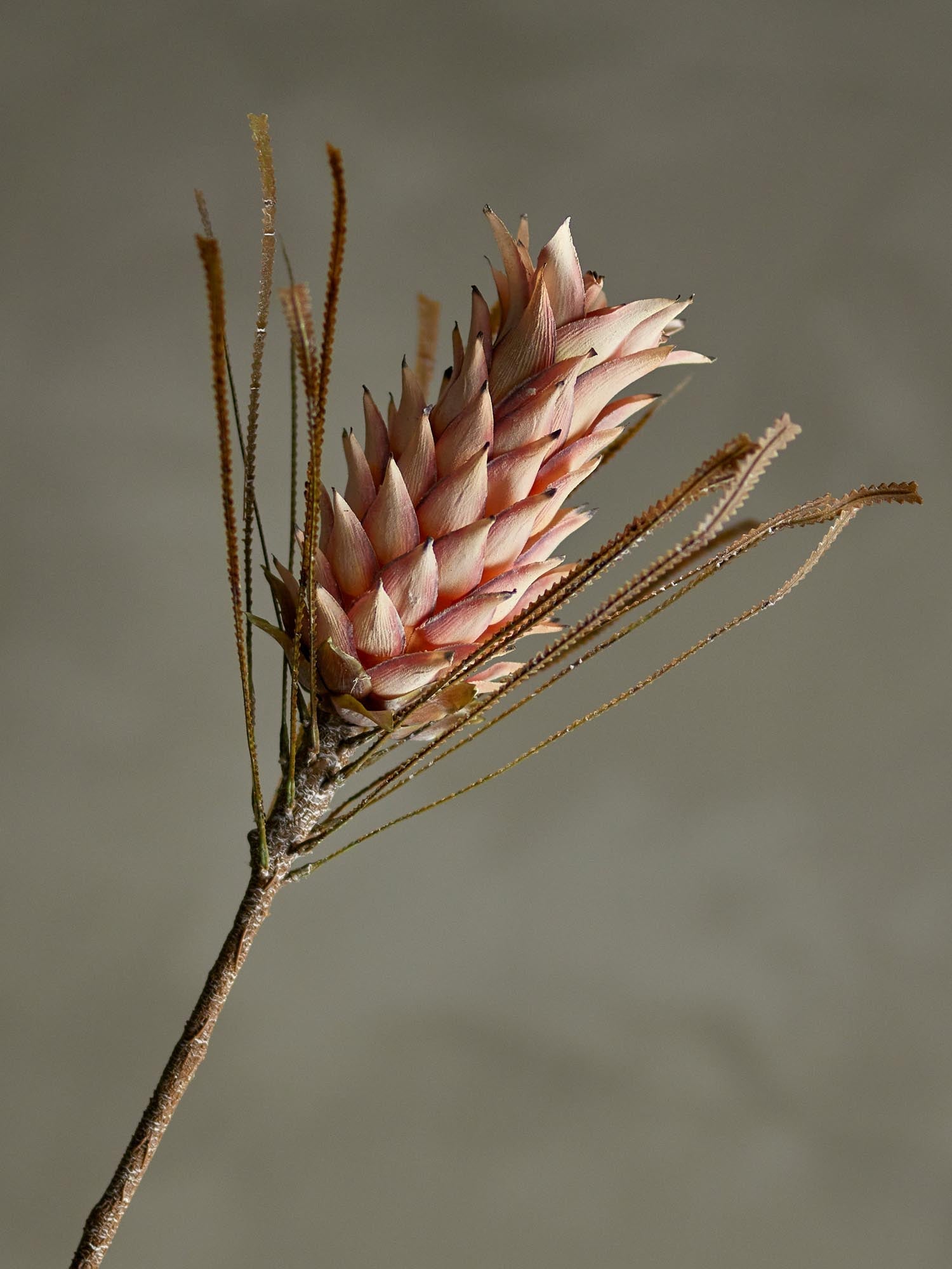 Eleganter Palmflower-Stiel in sanftem Rosé von Bloomingville, ideal als langlebige, künstliche Blume für stilvolle Dekoration.