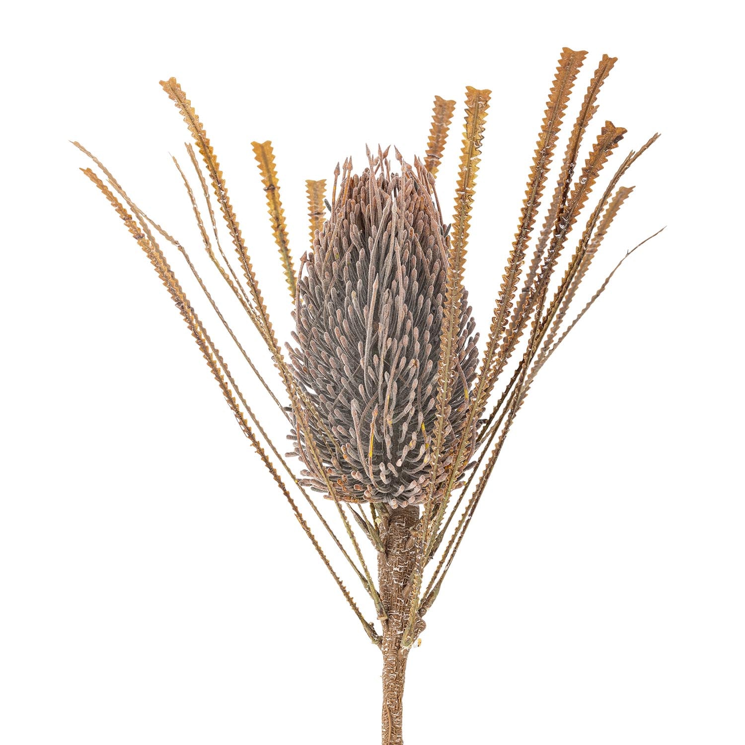 Eleganter Palmflower-Stiel in Braun von Bloomingville, perfekt für kreative Dekorationen mit künstlichen Blumen.