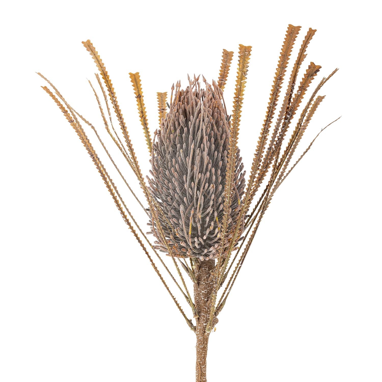 Eleganter Palmflower-Stiel in Braun von Bloomingville, perfekt für kreative Dekorationen mit künstlichen Blumen.