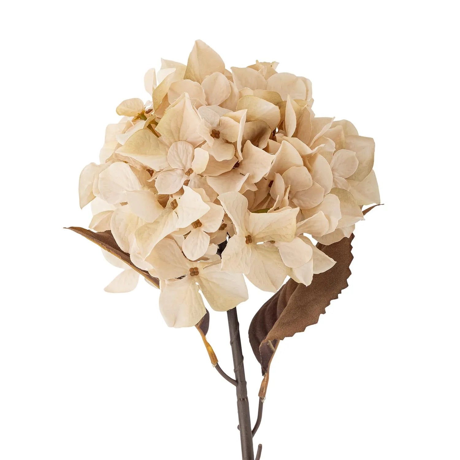 Der Hydrangea Stiel von Bloomingville bringt natürliche Eleganz in Ihr Zuhause, ohne Pflegeaufwand, mit cremeweißen Blüten.