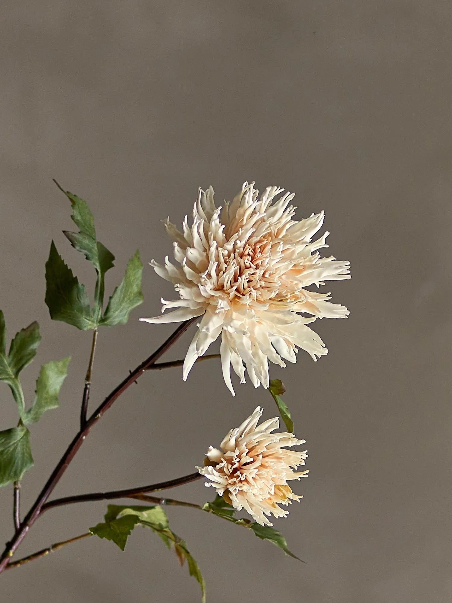 Die künstliche Chrysantheme von Bloomingville bringt natürliche Eleganz in Ihr Zuhause, pflegeleicht und ideal für Allergiker.