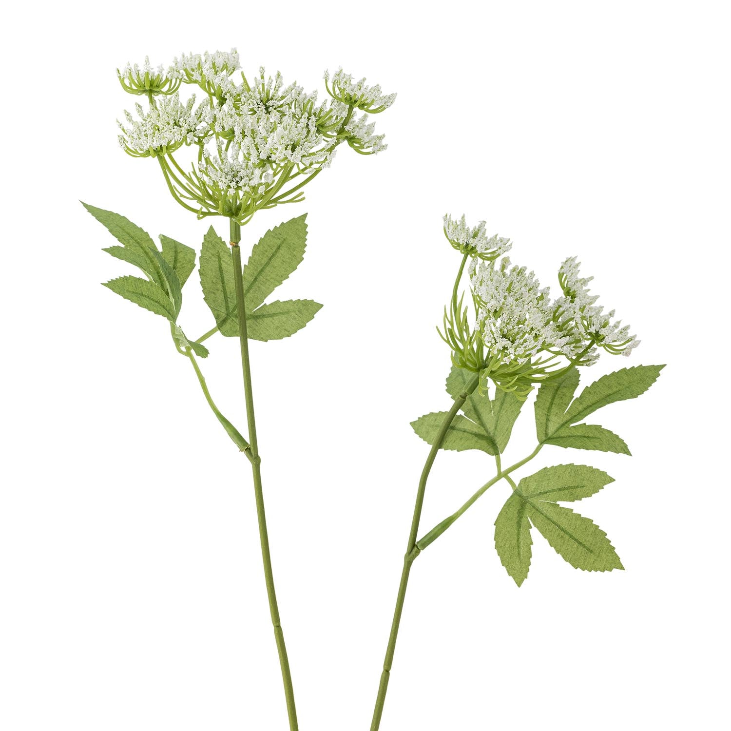 Künstlicher Fenchelstiel in Weiss von Bloomingville, perfekt für zeitlose Dekorationen und elegante florale Arrangements.