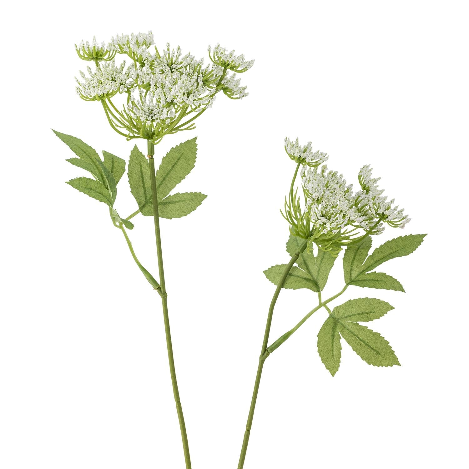 Künstlicher Fenchelstiel in Weiß von Bloomingville, perfekt für zeitlose Dekorationen und elegante florale Arrangements.