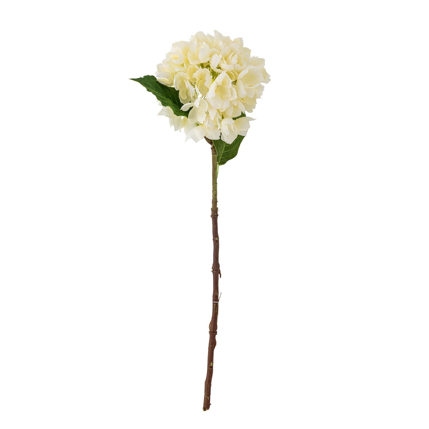 Hydrangea Stiel, Weiss, Künstliche Blumen in Weiss präsentiert im Onlineshop von KAQTU Design AG. Kunstpflanze ist von Bloomingville