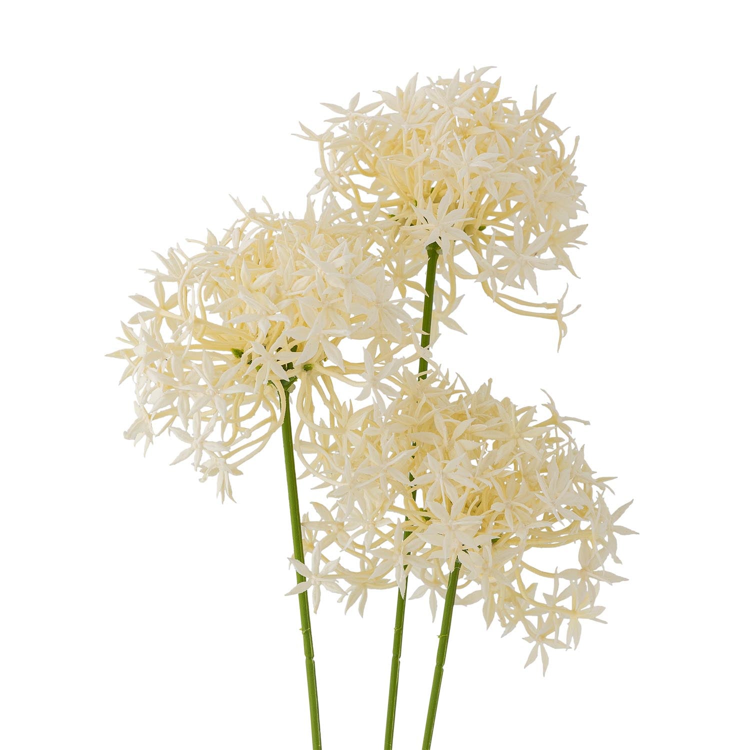 Eleganter künstlicher Allium-Stiel in Weiß von Bloomingville, ideal für stilvolle Dekorationen und langlebige Arrangements.