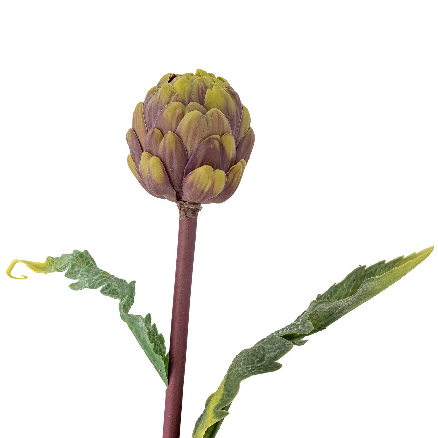 Eleganter violetter Protea-Stiel von Bloomingville, perfekt für zeitlose Dekorationen und kunstvolle Blumenarrangements.