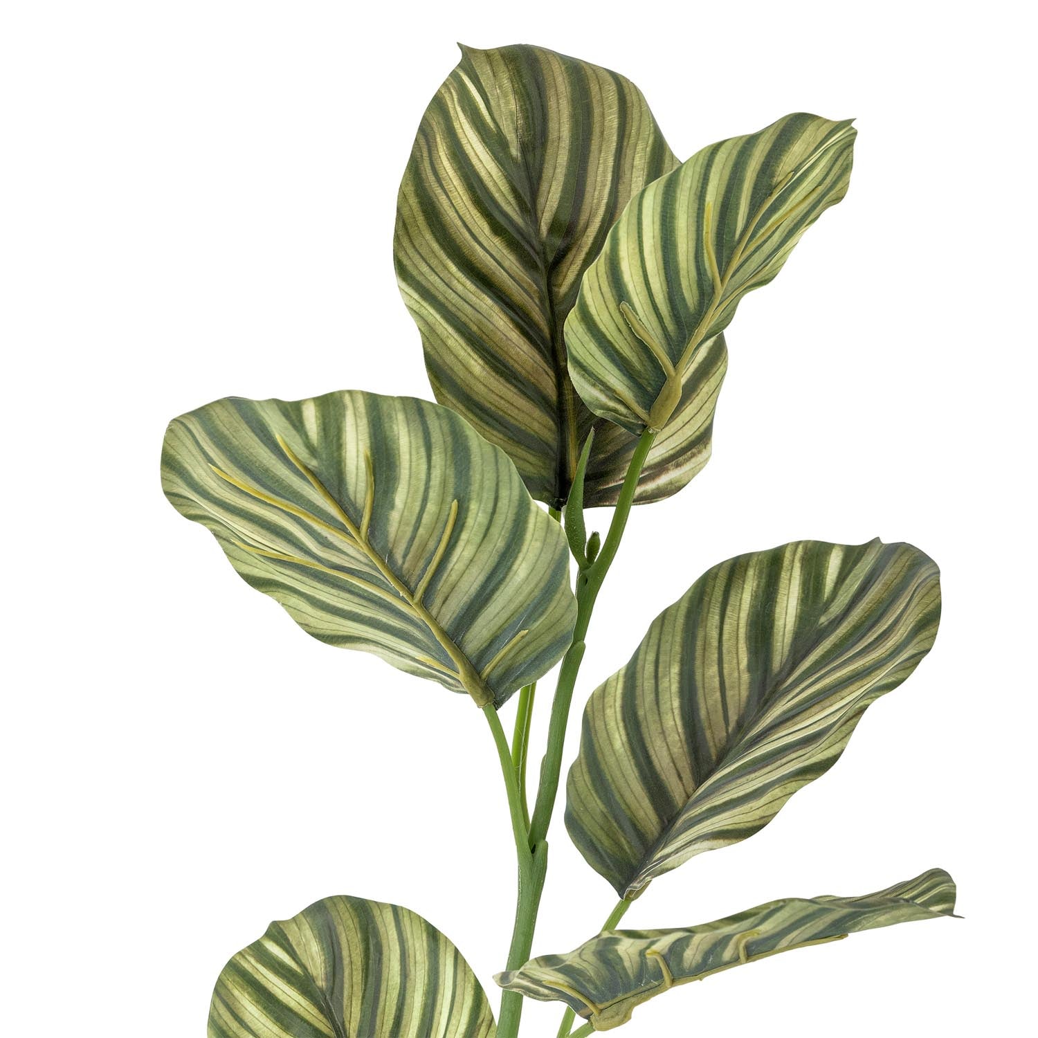 Künstlicher Zebra-Stiel in Grün von Bloomingville, ideal für stilvolle Dekorationen und langlebige Arrangements.