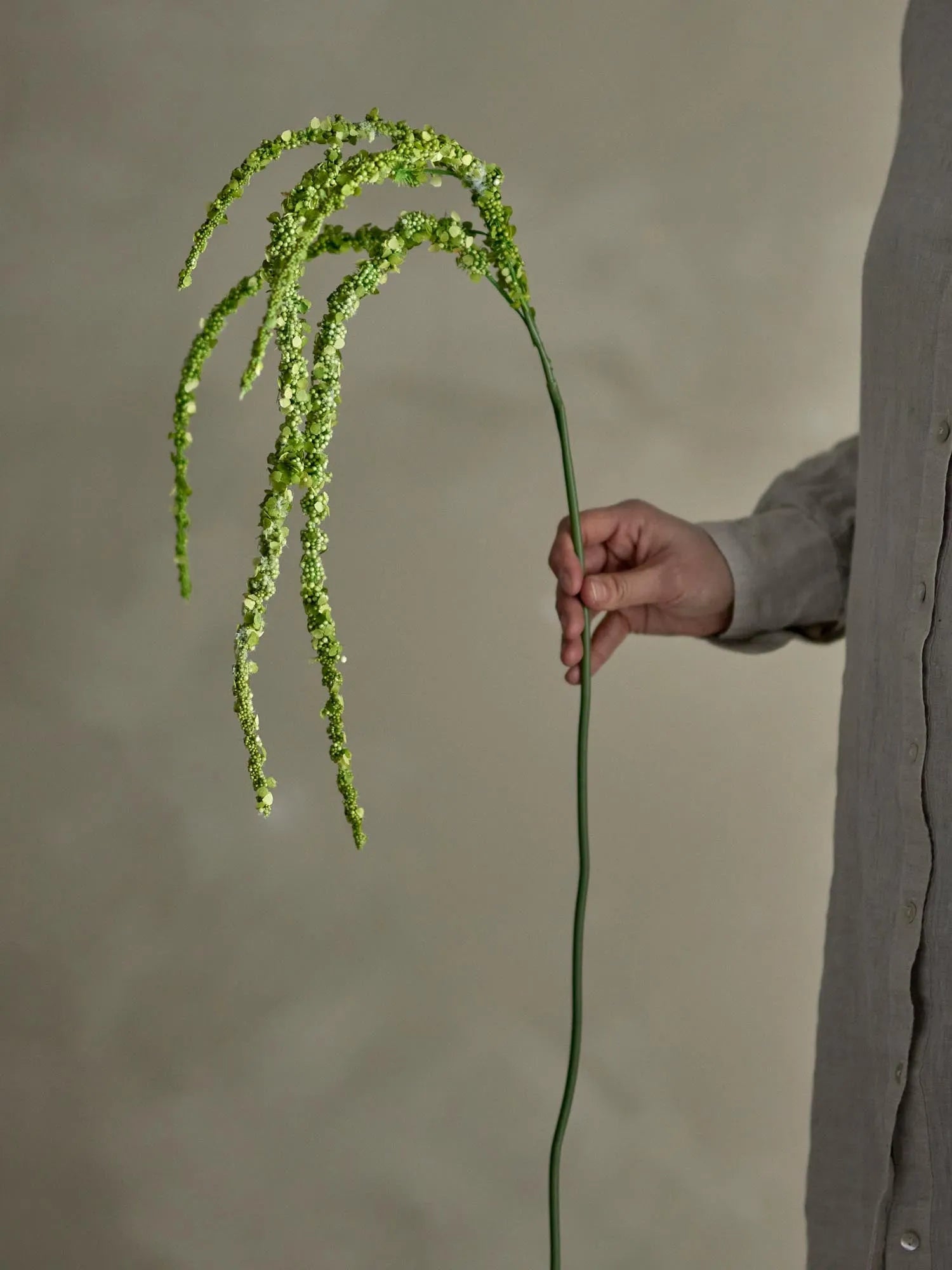 Der Foxtail Stiel von Bloomingville bringt natürliche Eleganz in Ihr Zuhause, ohne Pflegeaufwand.