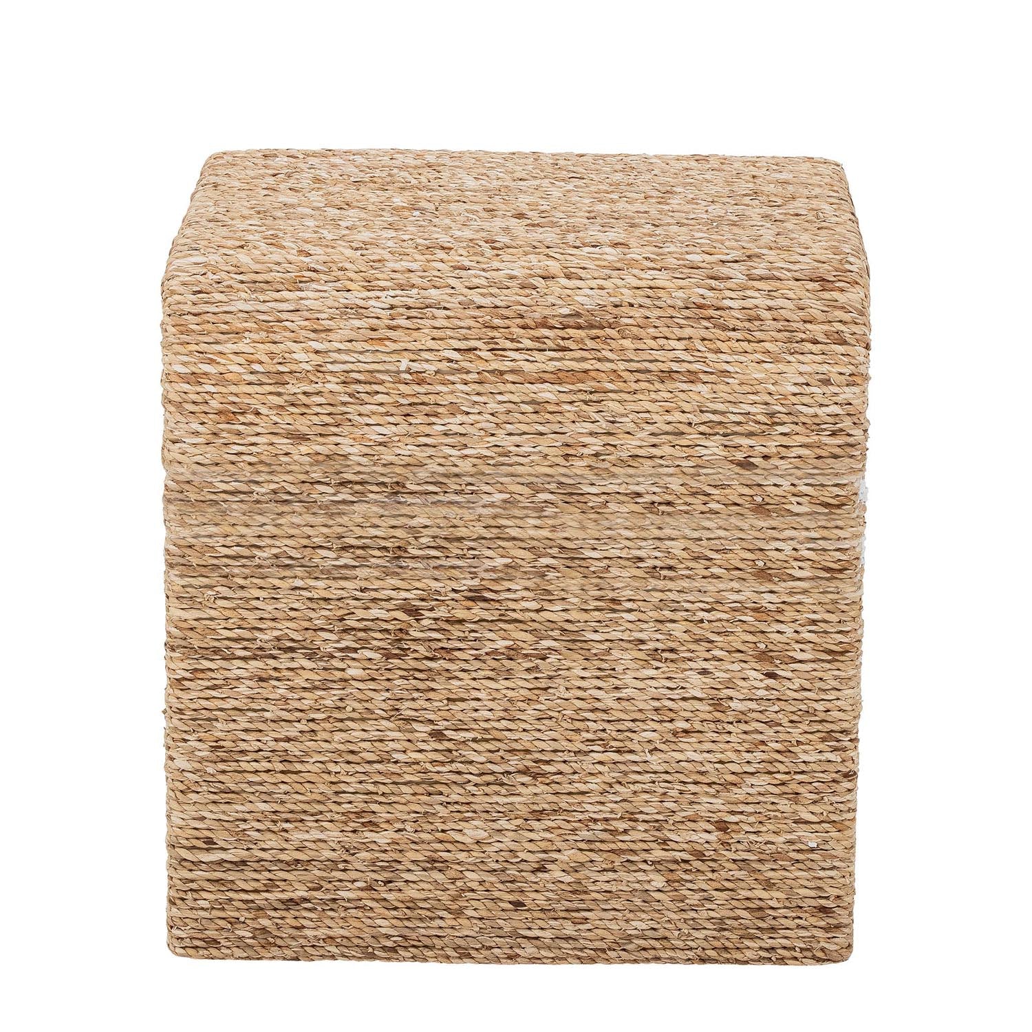 Kien Hocker, Natur, Wasserhyazinthe