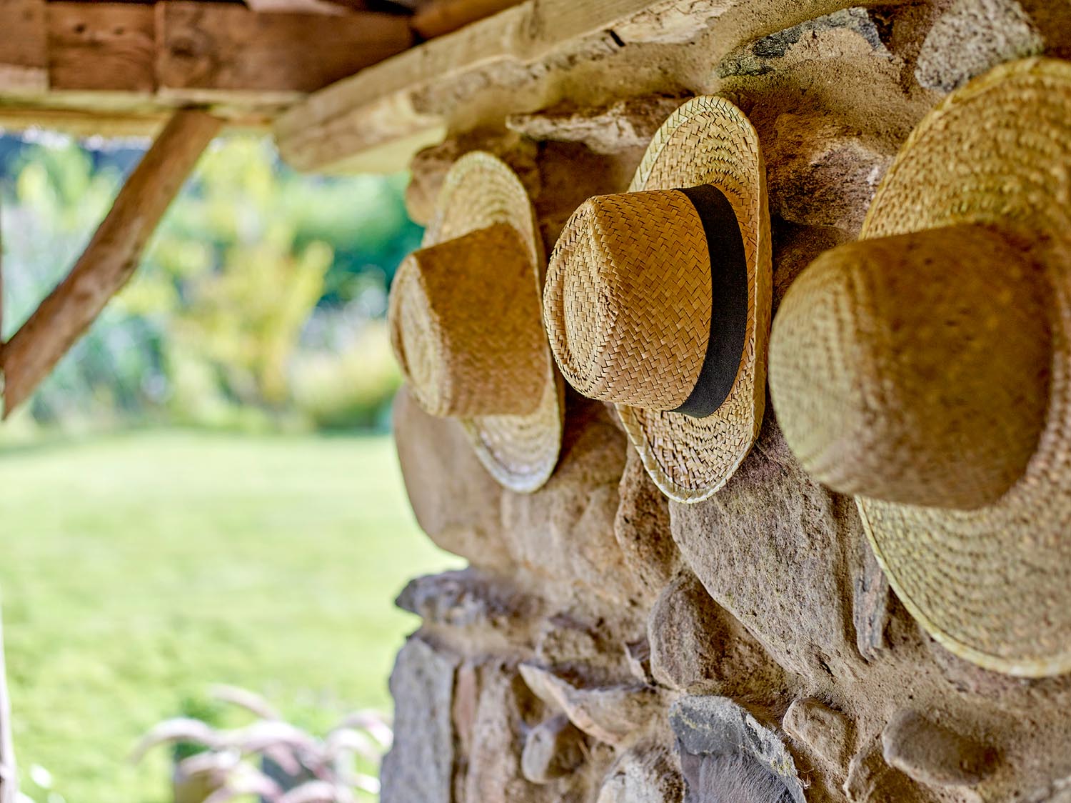 Limona Hut, Natur, Seegras