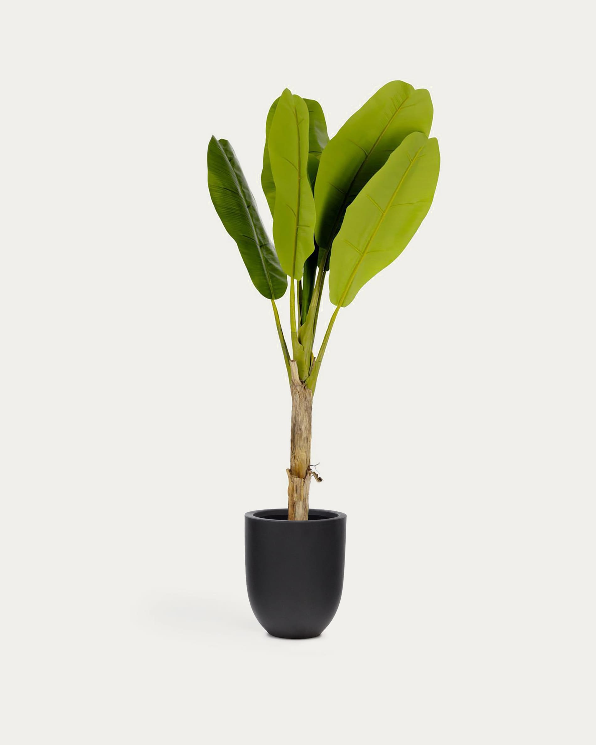 Kave Home Kunstpflanze, 160 cm hoch, realistische Baenbaum-Optik, pflegeleicht, ideal für Innenräume.