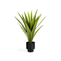 Zelena Kunstpflanze Yucca