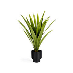 Zelena Kunstpflanze Yucca