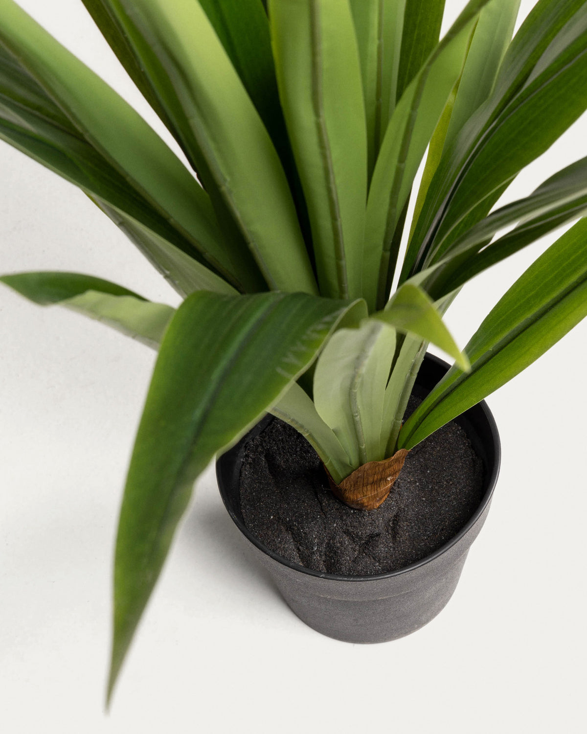Zelena Kunstpflanze Yucca in Grün, Schwarz präsentiert im Onlineshop von KAQTU Design AG. Kunstpflanze ist von Kave Home