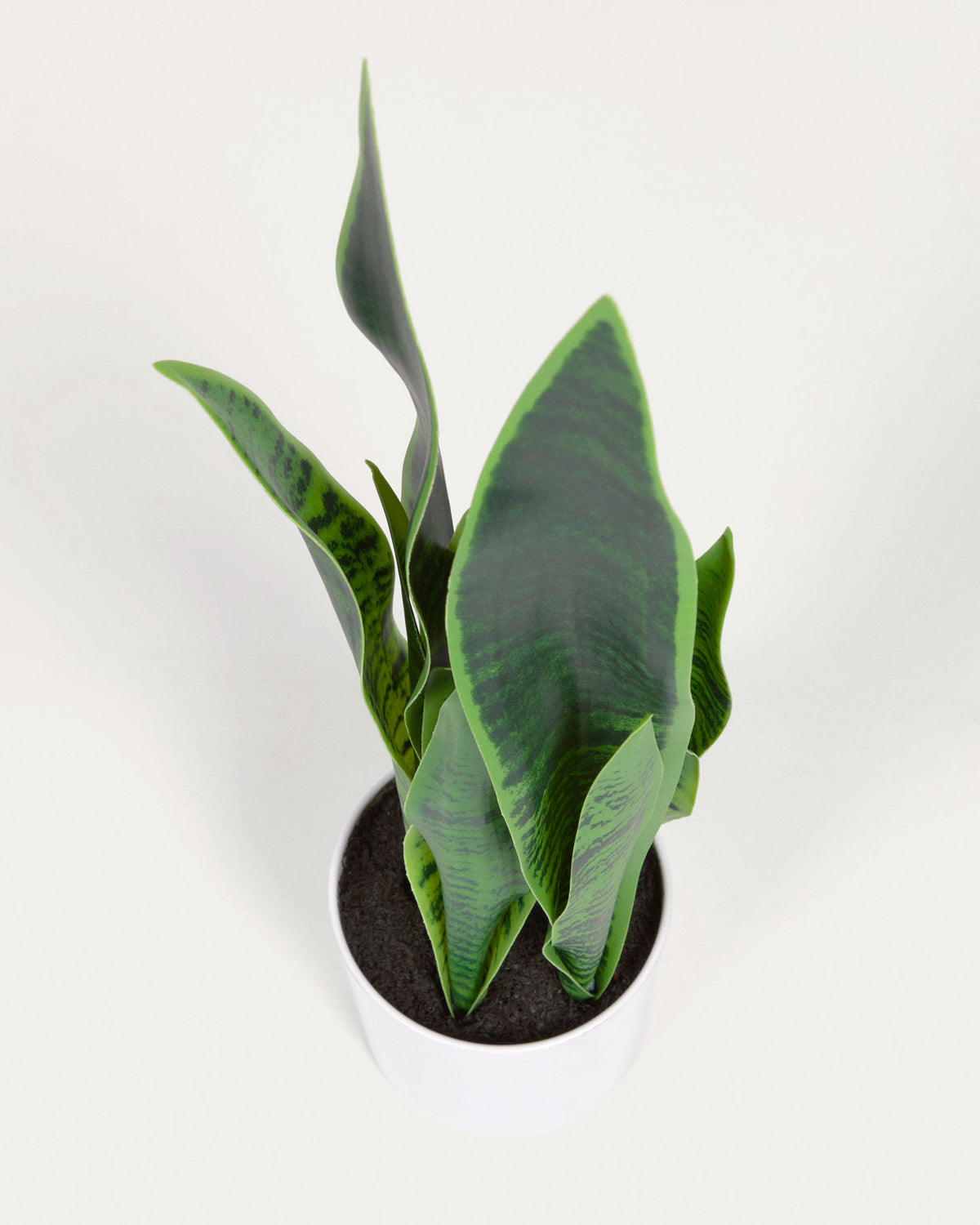 Sansevieria Kunstpflanze mit Topf weiss 55 cm in Weiss präsentiert im Onlineshop von KAQTU Design AG. Kunstpflanze ist von Kave Home