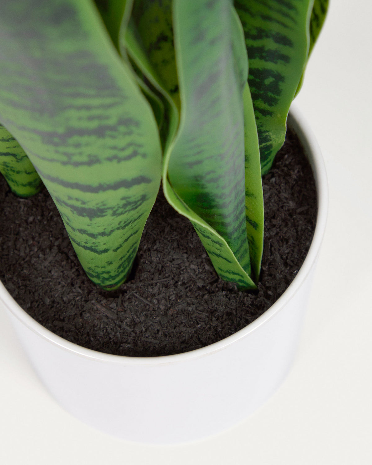 Sansevieria Kunstpflanze mit Topf weiss 55 cm in Weiss präsentiert im Onlineshop von KAQTU Design AG. Kunstpflanze ist von Kave Home