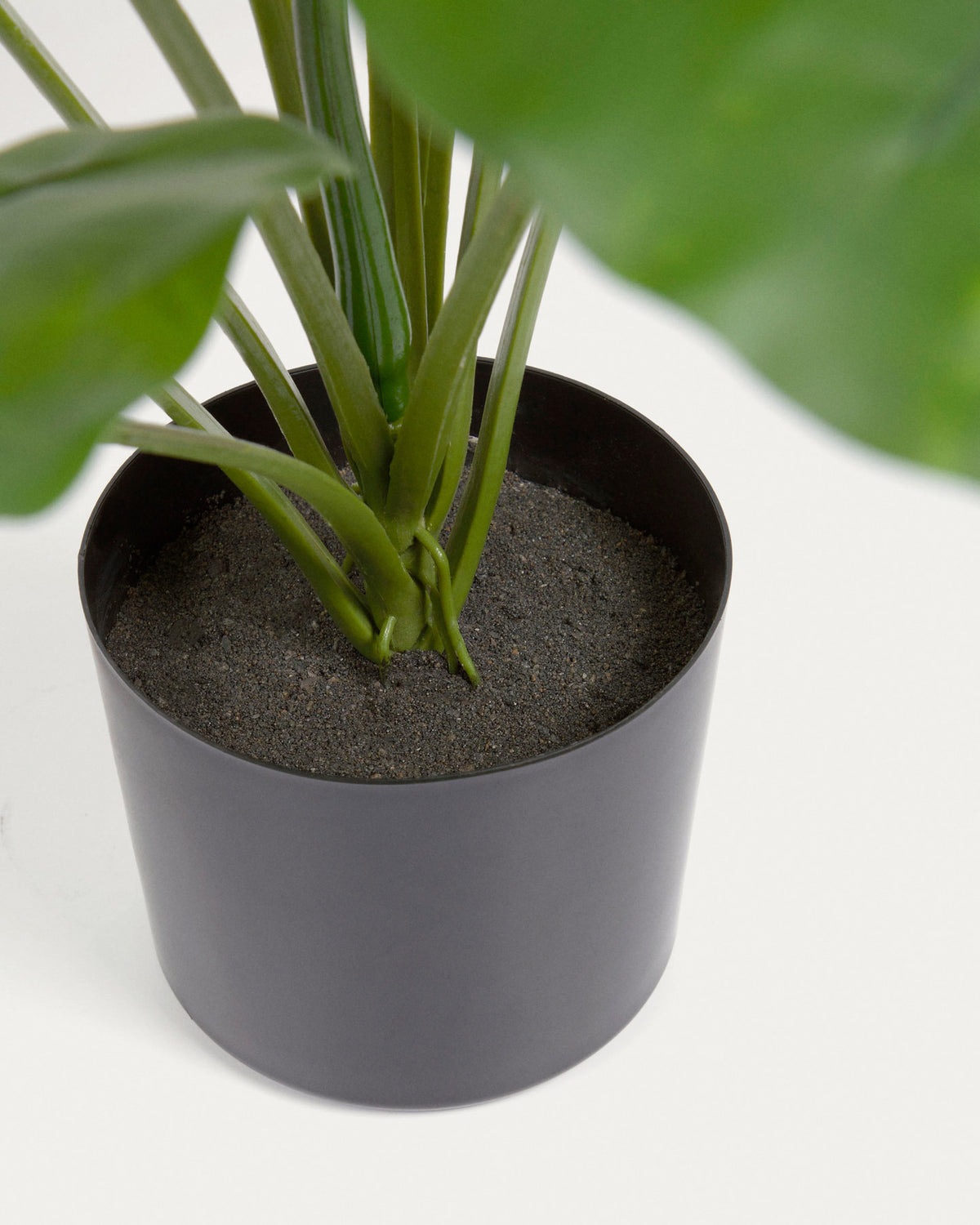 Alocasia Odora Kunstpflanze mit Topf schwarz 57 cm in Schwarz präsentiert im Onlineshop von KAQTU Design AG. Kunstpflanze ist von Kave Home